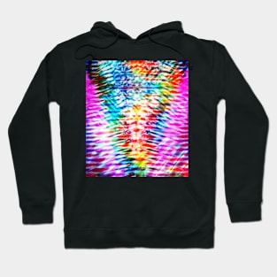 Rainbow V Tie Dye Hoodie